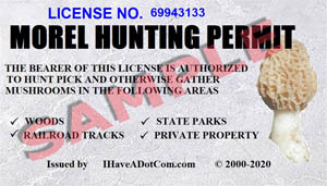 Sample License